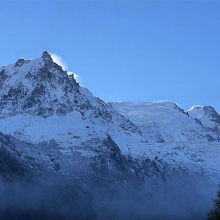 شقة Les Alpins - Centre De Chamonix - Renove Avec Jardin Et Vue Imprenable Sur Le Montblanc المظهر الخارجي الصورة